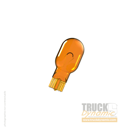 Ampoule de clignotant rétroviseur principal et grand angle MERCEDES-BENZ SPRINTER 3 (W907 - W910) - 081039011099 - 9109065600